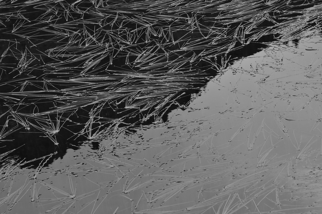 2019-08 Savoie/La Tuile/DSC_1259.JPG